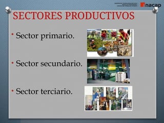 SECTORES PRODUCTIVOS
• Sector primario.
• Sector secundario.
• Sector terciario.
 