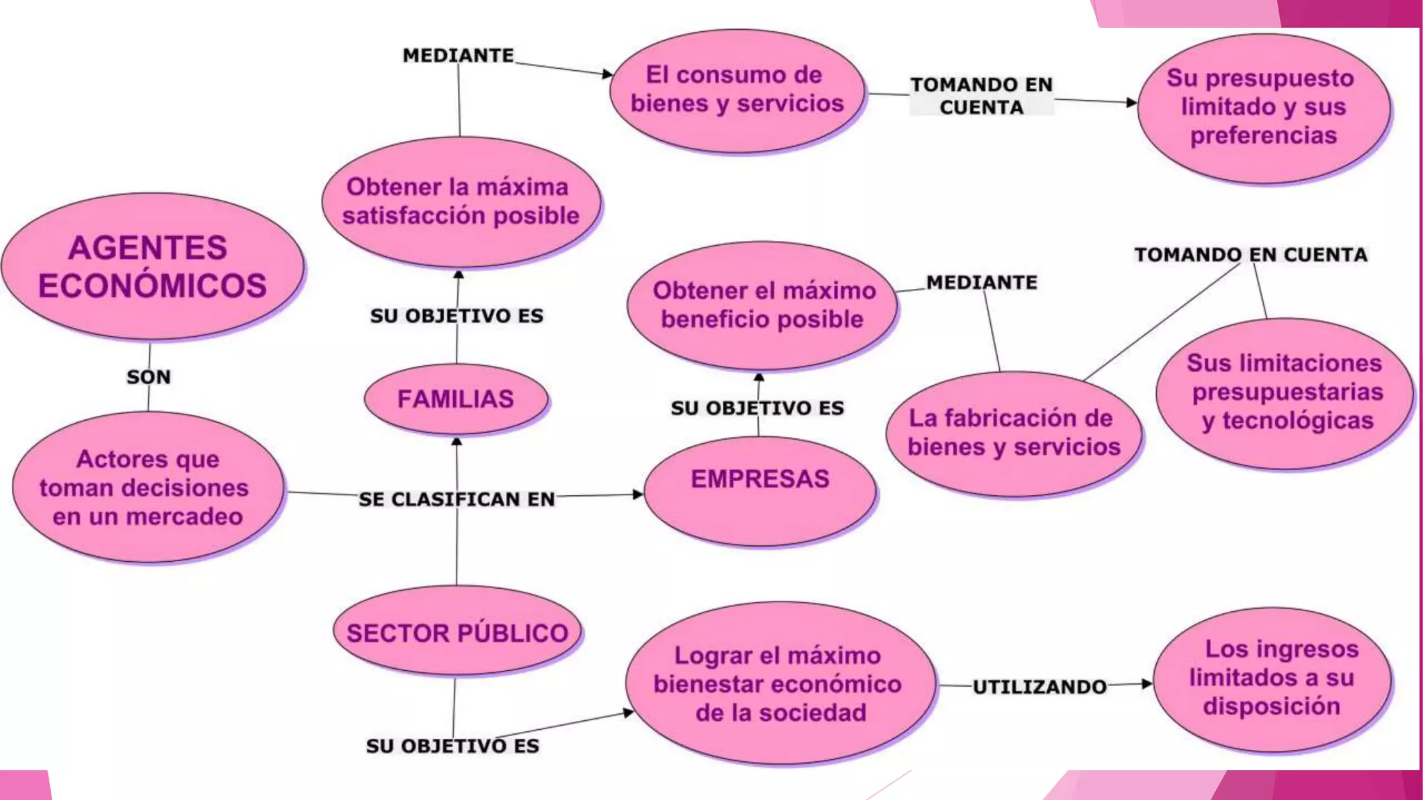 Agentes economicos saia
