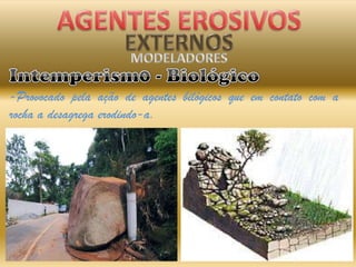 AGENTES EROSIVOS EXTERNOSMODELADORESVento – ErosãoEólica-A ErosãoEólicamodifica o relevoemtodomundo.-A intensidade do desgastedepende do material que forma o solo.