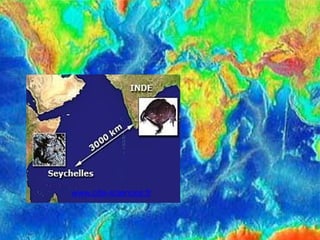 2
3
www.cite-sciences.fr
 