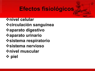 Efectos fisiológicos   nivel celular   circulación sanguínea   aparato digestivo   aparato urinario   sistema respiratorio   sistema nervioso   nivel muscular   piel   