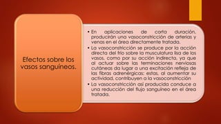 • En aplicaciones de corta duración,
producirán una vasoconstricción de arterias y
venas en el área directamente tratada.
• La vasoconstricción se produce por la acción
directa del frío sobre la musculatura lisa de los
vasos, como por su acción indirecta, ya que
al actuar sobre las terminaciones nerviosas
cutáneas da lugar a una excitación refleja de
las fibras adrenérgicas; estas, al aumentar su
actividad, contribuyen a la vasoconstricción
• La vasoconstricción así producida conduce a
una reducción del flujo sanguíneo en el área
tratada.
Efectos sobre los
vasos sanguíneos.
 