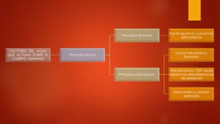FACTORES DEL AGUA
QUE ACTÚAN SOBRE EL
CUERPO HUMANO
Principios físicos
Principios térmicos
Factor químico: sustancias
reforzadoras
Principios mecánicos.
factor hidrostático:
flotación
Hidrodinámico: 900 veces
resistencia aire/diferencias
de presiones
Hidrocinético: presión
aplicada
 