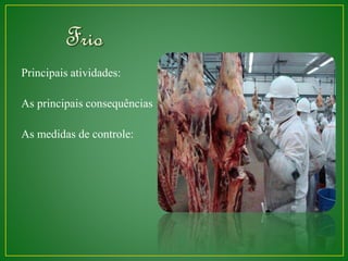 Principais atividades: 
As principais consequências 
As medidas de controle: 
 