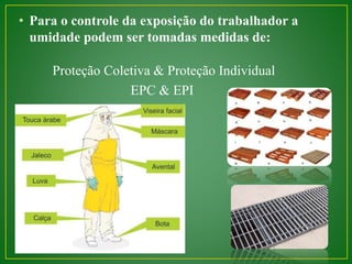 • Para o controle da exposição do trabalhador a 
umidade podem ser tomadas medidas de: 
Proteção Coletiva & Proteção Individual 
EPC & EPI 
 