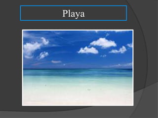Playa
 