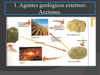 1. Agentes geológicos externos:
Acciones.
 