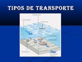 Tipos de TransporTe

 