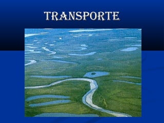TransporTe

 