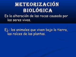 Meteorización
biológica

Es la alteración de las rocas causada por
los seres vivos.
Ej.: los animales que viven bajo la tierra,
las raíces de las plantas.

 