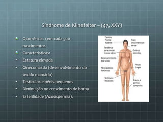 Síndrome de Klinefelter – (47, XXY)
Ocorrência: 1 em cada 500
nascimentos
Características:
• Estatura elevada
• Ginecomastia (desenvolvimento do
tecido mamário)
• Testículos e pénis pequenos
• Diminuição no crescimento de barba
• Esterilidade (Azoospermia).
 