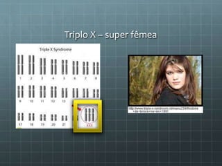 Triplo X – super fêmea
 