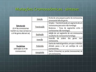 Mutações Cromossómicas - síntese:
 