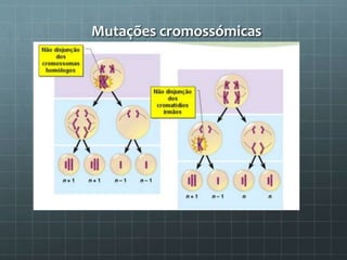 Mutações cromossómicas
 