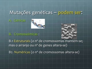A. Génicas
B. Cromossómicas :
B.1 Estruturais (o nº de cromossomas mantem-se;
mas o arranjo ou nº de genes altera-se)
B2. Numéricas (o nº de cromossomas altera-se)
Mutações genéticas – podem ser:
 