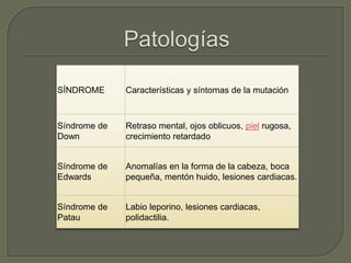 SÍNDROME Características y síntomas de la mutación 
Síndrome de 
Down 
Retraso mental, ojos oblicuos, piel rugosa, 
crecimiento retardado 
Síndrome de 
Edwards 
Anomalías en la forma de la cabeza, boca 
pequeña, mentón huido, lesiones cardiacas. 
Síndrome de 
Patau 
Labio leporino, lesiones cardiacas, 
polidactilia. 
 