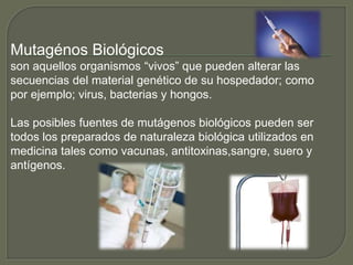 Mutagénos Biológicos 
son aquellos organismos “vivos” que pueden alterar las 
secuencias del material genético de su hospedador; como 
por ejemplo; virus, bacterias y hongos. 
Las posibles fuentes de mutágenos biológicos pueden ser 
todos los preparados de naturaleza biológica utilizados en 
medicina tales como vacunas, antitoxinas,sangre, suero y 
antígenos. 
 