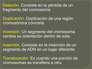 Deleción. Consiste en la pérdida de un 
fragmento del cromosoma. 
Duplicación. Duplicación de una región 
cromosómica concreta. 
Inversión. Un segmento del cromosoma 
cambia su orientación dentro de este. 
Inserción. Consiste en la inserción de un 
segmento de ADN en un lugar diferente. 
Translocación. Es cuando una porción de 
cromosomas se transfiere a otro. 
 