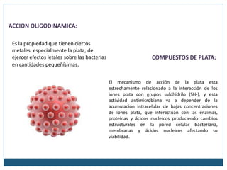 ACCION OLIGODINAMICA:

 Es la propiedad que tienen ciertos
 metales, especialmente la plata, de
 ejercer efectos letales sobre las bacterias                      COMPUESTOS DE PLATA:
 en cantidades pequeñísimas.


                                               El mecanismo de acción de la plata esta
                                               estrechamente relacionado a la interacción de los
                                               iones plata con grupos suldhidrilo (SH-), y esta
                                               actividad antimicrobiana va a depender de la
                                               acumulación intracelular de bajas concentraciones
                                               de iones plata, que interactúan con las enzimas,
                                               proteínas y ácidos nucleicos produciendo cambios
                                               estructurales en la pared celular bacteriana,
                                               membranas y ácidos nucleicos afectando su
                                               viabilidad.
 