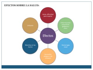 EFECTOS SOBRE LA SALUD:


                              Asma, dificultad
                               para respirar


                                                 Irrita mucosas:
                                                   conjuntivas.
                Urticaria
                                                    garganta y
                                                       nariz.



                              Efectos

             Manchas en las                       Hemorragia
                manos                               nasal



                                Dermatitis
                               alérgica o de
                                 contacto
 