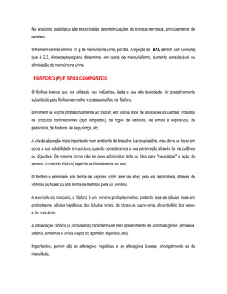 Na anatomia patológica são encontradas desmielinizações de troncos nervosos, principalmente do
cerebelo.
O homem normal elimina 10 g de mercúrio na urina, por dia. A injeção de BAL (British Anti-Lewisite)
que é 2,3, dimercaptopropano determina; em casos de mercurialismo, aumento considerável na
eliminação do mercúrio na urina.
FÓSFORO (P) E SEUS COMPOSTOS
O fósforo branco que era utilizado nas indústrias, dada a sua alta toxicidade, foi gradativamente
substituído pelo fósforo vermelho e o sesquisulfeto de fósforo.
O homem se expõe profissionalmente ao fósforo, em vários tipos de atividades industriais: indústria
de produtos fosforescentes (tipo lâmpadas), de fogos de artifícios, de armas e explosivos, de
pesticidas, de fósforos de segurança, etc.
A via de absorção mais importante num ambiente de trabalho é a respiratória, mas deve-se levar em
conta a sua solubilidade em gordura, quando consideramos a sua penetração através da via cutânea
ou digestiva. Da mesma forma não se deve administrar leite ou óleo para "neutralizar" a ação do
veneno (contendo fósforo) ingerido acidentalmente ou não.
O fósforo é eliminado sob forma de vapores (com odor de alho) pela via respiratória, através de
vômitos ou fezes ou sob forma de fosfatos pela via urinária.
A exemplo do mercúrio, o fósforo é um veneno protoplasmático, portanto lesa as células ricas em
protoplasma; células hepáticas, dos túbulos renais, do córtex da supra-renal, do endotélio dos vasos
e do miocárdio.
A intoxicação crônica (a profissional) caracteriza-se pelo aparecimento de sintomas gerais (anorexia,
astenia, sintomas e sinais vagos do aparelho digestivo, etc).
Importantes, porém são as alterações hepáticas e as alterações ósseas, principalmente as da
mandíbula.
 