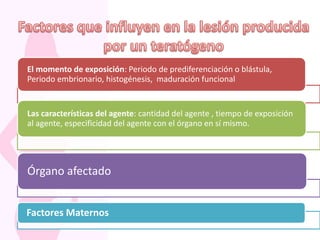 El momento de exposición: Periodo de prediferenciación o blástula,
Periodo embrionario, histogénesis, maduración funcional
Las características del agente: cantidad del agente , tiempo de exposición
al agente, especificidad del agente con el órgano en sí mismo.
Órgano afectado
Factores Maternos
 