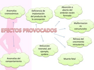 Anomalías
cromosómicas
Deficiencia de
implantación
del producto de
la concepción
Absorción o
aborto del
embrión recién
formado
Malformacion
es
estructurales
Retraso del
crecimiento
intrauterino
Disfunción
neonatal, por
ejemplo,
sordera
Anomalías del
comportamiento
Muerte fetal
 