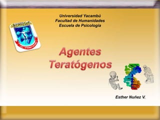 Esther Nuñez V.
Universidad Yacambú
Facultad de Humanidades
Escuela de Psicología
 