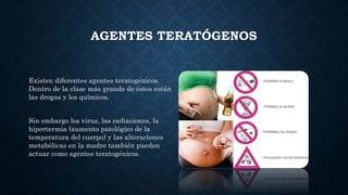 AGENTES TERATÓGENOS
Existen diferentes agentes teratogénicos.
Dentro de la clase más grande de éstos están
las drogas y los químicos.
Sin embargo los virus, las radiaciones, la
hipertermia (aumento patológico de la
temperatura del cuerpo) y las alteraciones
metabólicas en la madre también pueden
actuar como agentes teratogénicos.
 