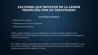 FACTORES QUE INFLUYEN EN LA LESIÓN
PRODUCIDA POR UN TERATÓGENO
FACTORES MATERNOS
• Metabolismo materno
• Transporte a través de la placenta
• Enfermedades maternas
Todos aquellos agentes que son ingeridos por la madre estarán influidos por la
capacidad de ser eliminados por el organismo materno o la posibilidad de transporte a
través de la placenta.
Por último existe la posibilidad que durante el embarazo se produzca exposición a más
de un factor ambiental, originándose interacciones que pueden agravar o atenuar los
efectos nocivos sobre el embrión o el feto.
 