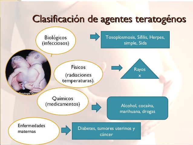 Agentes teratógenos y cuidados en el embarazo (1)
