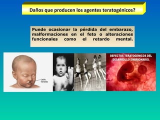 Daños que producen los agentes teratogénicos?
Puede ocasionar la pérdida del embarazo,
malformaciones en el feto o alteraciones
funcionales como el retardo mental.
 