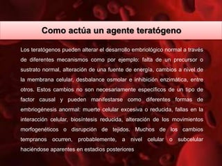 Los teratógenos pueden alterar el desarrollo embriológico normal a través
de diferentes mecanismos como por ejemplo: falta de un precursor o
sustrato normal, alteración de una fuente de energía, cambios a nivel de
la membrana celular, desbalance osmolar e inhibición enzimática, entre
otros. Estos cambios no son necesariamente específicos de un tipo de
factor causal y pueden manifestarse como diferentes formas de
embriogénesis anormal: muerte celular excesiva o reducida, fallas en la
interacción celular, biosíntesis reducida, alteración de los movimientos
morfogenéticos o disrupción de tejidos. Muchos de los cambios
tempranos ocurren, probablemente, a nivel celular o subcelular
haciéndose aparentes en estadios posteriores
Como actúa un agente teratógeno
 