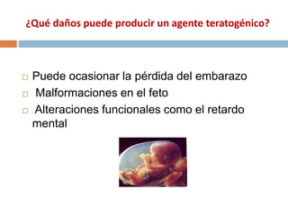 ¿Qué daños puede producir un agente teratogénico?
 Puede ocasionar la pérdida del embarazo
 Malformaciones en el feto
 Alteraciones funcionales como el retardo
mental
 