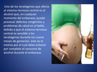 Uno de los teratógenos que afecta
al sistema nervioso central es el
alcohol que, en cualquier
momento del embarazo, puede
provocar defectos congénitos y
problemas de salud en el bebé,
debido a que el sistema nervioso
central es sensible a los
teratógenos durante los nueve
meses de gestación. éste es el
motivo por el cual debe evitarse
por completo el consumo de
alcohol durante el embarazo.
 