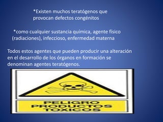 *Existen muchos teratógenos que
provocan defectos congénitos
*como cualquier sustancia química, agente físico
(radiaciones), infeccioso, enfermedad materna
Todos estos agentes que pueden producir una alteración
en el desarrollo de los órganos en formación se
denominan agentes teratógenos.
 
