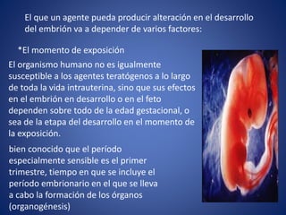 *El momento de exposición
El que un agente pueda producir alteración en el desarrollo
del embrión va a depender de varios factores:
El organismo humano no es igualmente
susceptible a los agentes teratógenos a lo largo
de toda la vida intrauterina, sino que sus efectos
en el embrión en desarrollo o en el feto
dependen sobre todo de la edad gestacional, o
sea de la etapa del desarrollo en el momento de
la exposición.
bien conocido que el período
especialmente sensible es el primer
trimestre, tiempo en que se incluye el
período embrionario en el que se lleva
a cabo la formación de los órganos
(organogénesis)
 
