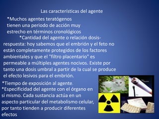 Las características del agente
*Muchos agentes teratógenos
tienen una periodo de acción muy
estrecho en términos cronológicos
*Cantidad del agente o relación dosis-
respuesta: hoy sabemos que el embrión y el feto no
están completamente protegidos de los factores
ambientales y que el "filtro placentario" es
permeable a múltiples agentes nocivos. Existe por
tanto una dosis umbral a partir de la cual se produce
el efecto lesivos para el embrión.
*Tiempo de exposición al agente.
*Especificidad del agente con el órgano en
sí mismo. Cada sustancia actúa en un
aspecto particular del metabolismo celular,
por tanto tienden a producir diferentes
efectos
 