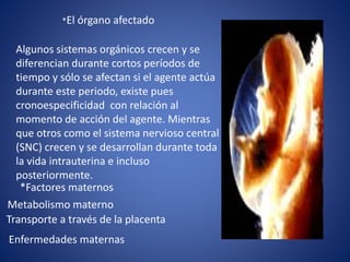 *El órgano afectado
Algunos sistemas orgánicos crecen y se
diferencian durante cortos períodos de
tiempo y sólo se afectan si el agente actúa
durante este periodo, existe pues
cronoespecificidad con relación al
momento de acción del agente. Mientras
que otros como el sistema nervioso central
(SNC) crecen y se desarrollan durante toda
la vida intrauterina e incluso
posteriormente.
*Factores maternos
Metabolismo materno
Transporte a través de la placenta
Enfermedades maternas
 