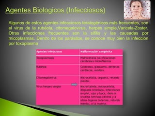 Algunos de estos agentes infecciosos teratogénicos más frecuentes, son
el virus de la rubéola, citomegalovirus, herpes simple,Varicela-Zoster.
Otras infecciones frecuentes son la sífilis y las causadas por
micoplasmas. Dentro de los parásitos, se conoce muy bien la infección
por toxoplasma
 