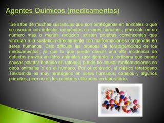 Se sabe de muchas sustancias que son teratógenas en animales o que
se asocian con defectos congénitos en seres humanos, pero sólo en un
número más o menos reducido existen pruebas convincentes que
vinculan a la sustancia directamente con malformaciones congénitas en
seres humanos. Esto dificulta las pruebas de teratogenicidad de los
medicamentos, ya que lo que puede causar una alta incidencia de
defectos graves en fetos animales (por ejemplo la cortisona que puede
causar paladar hendido en ratones) puede no causar malformaciones en
otros animales o en el humano. Por el contrario, el clásico teratógeno
Talidomida es muy teratógeno en seres humanos, conejos y algunos
primates, pero no en los roedores utilizados en laboratorio.
 