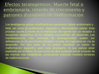 Los teratógenos actúan interfiriendo el crecimiento celular embrionario y
fetal, así como la proliferación, migración y diferenciación celular. Este
proceso ocurre a través de la interacción del agente con un receptor o
receptores específicos de los estadíos susceptibles del desarrollo. Las
manifestaciones más comunes de teratogenicidad suelen ser
deficiencias en el crecimiento prenatal o muerte del organismo en vía de
desarrollo. Por otra parte, se ha podido identificar un patrón de
malformación específico para cada teratógeno, lo que parece estar
explicado por el hecho de que varios de ellos pudieran actuar a través de
las mismas vías metabólicas, produciendo entonces modelos similares
de malformaciones.
 