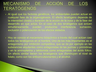  Al igual que los factores genéticos, los ambientales pueden actuar en
cualquier fase de la organogénesis. El efecto teratógeno depende de
la intensidad (dosis) y duración de la acción de la noxa y de la fase del
desarrollo en que actúa. En el caso de dos teratógenos que actúen
simultáneamente, pueden producirse interferencia, sumación,
exclusión o potenciación de los efectos aislados.
 Hoy se conoce el mecanismo bioquímico a través del cual actúan casi
todos los teratógenos en el hombre. Uno de los más importantes es el
antagonismo por inhibición competitiva, que se da por ejemplo en las
substancias alquilantes como antagonistas de las purinas y pirimidinas
y en la aminopterina y talidomida como antagonistas del ácido fólico.
Un efecto similar tienen los teratógenos que disminuyen el nivel de
folato, como son los anticonvulsionantes y el alcohol.
 