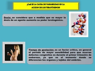 Dosis: se considera que a medida que es mayor la
dosis de un agente aumenta su poder teratogénico.
Tiempo de gestación: es un factor critico, en general
el periodo de mayor sensibilidad para que ocurran
defectos congénitos es durante el primer trimestre de
embarazo, ya que es el momento donde se
diferencian los órganos y tejidos del embrión.
 