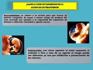 Susceptibilidad: se refiere a la acción para que ocurra un
defecto congénito. El mayor o menor riesgo de producir DC
esta asociado por ejemplo a la capacidad del organismo de
eliminar a diferente velocidad u agente nocivo.
Interacción: con otros agentes al estar expuesto el
embrión o feto a mas de un agente el riesgo puede
ser diferente ya sea por inhibición o potenciación de
los efectos.
 