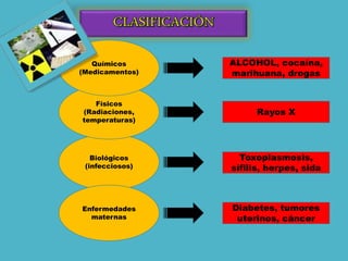 Biológicos
(infecciosos)
Físicos
(Radiaciones,
temperaturas)
Químicos
(Medicamentos)
Enfermedades
maternas
Toxoplasmosis,
sífilis, herpes, sida
Rayos X
ALCOHOL, cocaína,
marihuana, drogas
Diabetes, tumores
uterinos, cáncer
 
