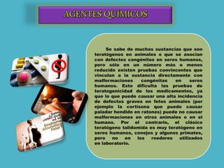 Se sabe de muchas sustancias que son
teratógenos en animales o que se asocian
con defectos congénitos en seres humanos,
pero sólo en un número más o menos
reducido existen pruebas convincentes que
vinculan a la sustancia directamente con
malformaciones congénitas en seres
humanos. Esto dificulta las pruebas de
teratogenicidad de los medicamentos, ya
que lo que puede causar una alta incidencia
de defectos graves en fetos animales (por
ejemplo la cortisona que puede causar
paladar hendido en ratones) puede no causar
malformaciones en otros animales o en el
humano. Por el contrario, el clásico
teratógeno talidomida es muy teratógeno en
seres humanos, conejos y algunos primates,
pero no en los roedores utilizados
en laboratorio.
 