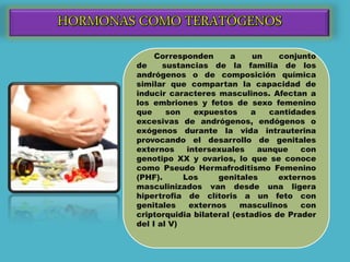 Corresponden a un conjunto
de sustancias de la familia de los
andrógenos o de composición química
similar que compartan la capacidad de
inducir caracteres masculinos. Afectan a
los embriones y fetos de sexo femenino
que son expuestos a cantidades
excesivas de andrógenos, endógenos o
exógenos durante la vida intrauterina
provocando el desarrollo de genitales
externos intersexuales aunque con
genotipo XX y ovarios, lo que se conoce
como Pseudo Hermafroditismo Femenino
(PHF). Los genitales externos
masculinizados van desde una ligera
hipertrofia de clítoris a un feto con
genitales externos masculinos con
criptorquidia bilateral (estadios de Prader
del I al V)
 