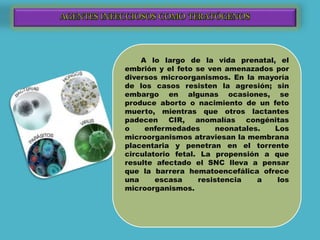 A lo largo de la vida prenatal, el
embrión y el feto se ven amenazados por
diversos microorganismos. En la mayoría
de los casos resisten la agresión; sin
embargo en algunas ocasiones, se
produce aborto o nacimiento de un feto
muerto, mientras que otros lactantes
padecen CIR, anomalías congénitas
o enfermedades neonatales. Los
microorganismos atraviesan la membrana
placentaria y penetran en el torrente
circulatorio fetal. La propensión a que
resulte afectado el SNC lleva a pensar
que la barrera hematoencefálica ofrece
una escasa resistencia a los
microorganismos.
 