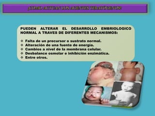 PUEDEN ALTERAR EL DESARROLLO EMBRIOLOGICO
NORMAL A TRAVES DE DIFERENTES MECANISMOS:
 Falta de un precursor o sustrato normal.
 Alteración de una fuente de energía.
 Cambios a nivel de la membrana celular.
 Desbalance osmolar e inhibición enzimática.
 Entre otros.
 